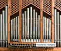 Journey of the Organ: A Majestic Encounter with the Queen of Musical Instruments