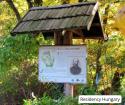 Explore the Jókai Garden on Sváb Hill