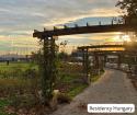 Visit the Wine Festival in Balatonfüred