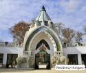 Visit the Night of Zoos