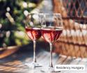 Rosalia Wine Picnic 2026 - Budapest’s Most Charming Summer Wine Festival