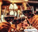 Budapest Wine Festival 2026: Wine, Gastronomy and Breathtaking Views at Buda Castle