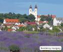 Tihany Lavender Festival 2025: Experience the Magic Without Going to Provence